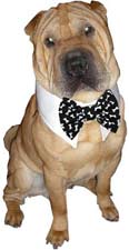 Dog bowties, dog ties and fancy shirt style dog wear
